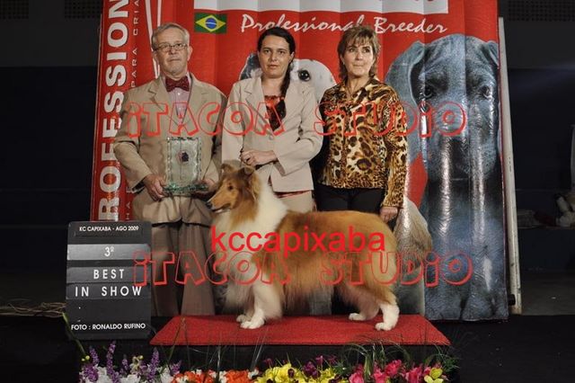 Clique sobre a foto para fechar